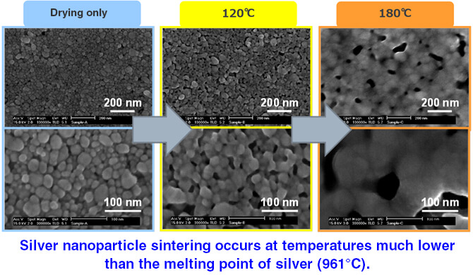 Silver nanoparticle sintering occurs at temperatures much lower than the melting point of silver (961°C).